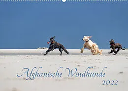 Kalender AFGHANISCHE WINDHUNDE 2022 (Wandkalender 2022 DIN A2 quer) von Annett Mirsberger annettmirsberger.de