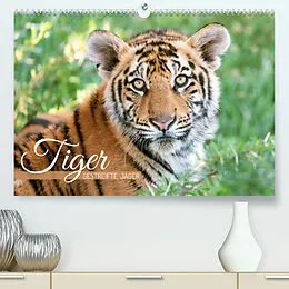 Kalender Tiger: Gestreifte Jäger (Premium, hochwertiger DIN A2 Wandkalender 2022, Kunstdruck in Hochglanz) von CALVENDO