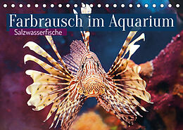 Kalender Farbrausch im Aquarium: Salzwasserfische (Tischkalender 2022 DIN A5 quer) von CALVENDO