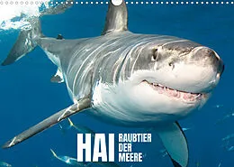 Kalender Hai: Raubtier der Meere (Wandkalender 2022 DIN A3 quer) von CALVENDO