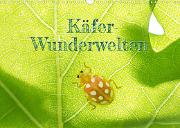 Kalender Käfer-Wunderwelten (Wandkalender 2022 DIN A3 quer) von Carola Vahldiek