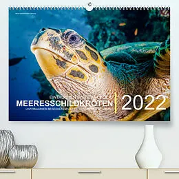 Kalender Einblicke in die Welt der Meeresschildkröten (Premium, hochwertiger DIN A2 Wandkalender 2022, Kunstdruck in Hochglanz) von Christian Hubo - feel4nature