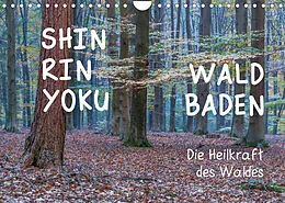 Kalender Shinrin yoku - Waldbaden 2022 (Wandkalender 2022 DIN A4 quer) von Irma van der Wiel www.kalender-atelier.de