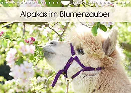 Kalender Alpakas im Blumenzauber (Wandkalender 2022 DIN A4 quer) von Heidi Rentschler