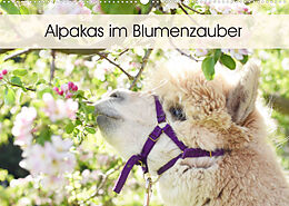 Kalender Alpakas im Blumenzauber (Wandkalender 2022 DIN A2 quer) von Heidi Rentschler