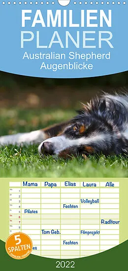 Kalender Australian Shepherd - Augenblicke - Familienplaner hoch (Wandkalender 2022 , 21 cm x 45 cm, hoch) von David Andrey
