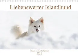 Kalender Liebenswerter Islandhund (Wandkalender 2022 DIN A3 quer) von Monika Scheurer