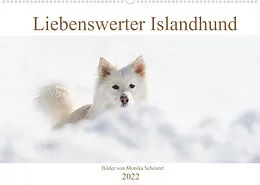 Kalender Liebenswerter Islandhund (Wandkalender 2022 DIN A2 quer) von Monika Scheurer