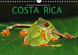 Kalender COSTA RICA - Tierische Momente (Wandkalender 2022 DIN A4 quer) von Michael Matziol