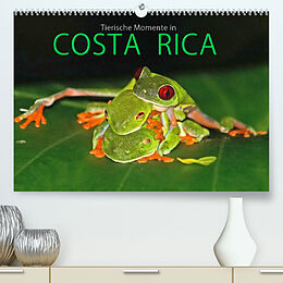 Kalender COSTA RICA - Tierische Momente (Premium, hochwertiger DIN A2 Wandkalender 2022, Kunstdruck in Hochglanz) von Michael Matziol