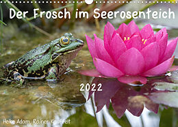 Kalender Der Frosch im Seerosenteich (Wandkalender 2022 DIN A3 quer) von Rainer Kauffelt, Heike Adam