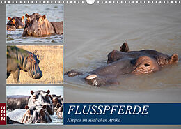 Kalender Hippos im südlichen Afrika (Wandkalender 2022 DIN A3 quer) von Udo Quentin