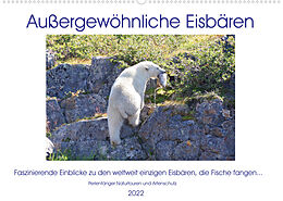 Kalender Das Leben der etwas "anderen" Eisbären! (Wandkalender 2022 DIN A2 quer) von Sabine Bengtsson / Perlenfänger Naturtouren &amp; Artenschutz