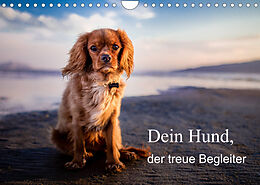 Kalender Dein Hund der treue Begleiter (Wandkalender 2022 DIN A4 quer) von Frank Gayde