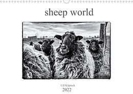 Kalender sheep world (Wandkalender 2022 DIN A3 quer) von Ulf Köpnick