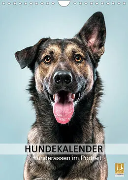 Kalender Hundekalender - Hunderassen im Portrait (Wandkalender 2022 DIN A4 hoch) von HIGHLIGHT.photo Maxi Sängerlaub