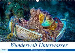 Kalender Wunderwelt Unterwasser (Wandkalender 2022 DIN A3 quer) von Dieter Gödecke