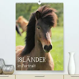 Kalender Isländer im Portrait (Premium, hochwertiger DIN A2 Wandkalender 2022, Kunstdruck in Hochglanz) von Alexandra Hollstein