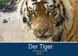 Kalender Der Tiger - die größte Katze der Welt (Wandkalender 2022 DIN A3 quer) von Cloudtail the Snow Leopard