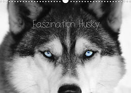 Kalender Faszination Husky (Wandkalender 2022 DIN A3 quer) von of Snow Wolf Valley