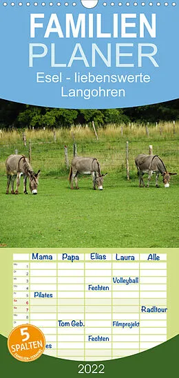 Kalender Familienplaner Esel - liebenswerte Langohren (Wandkalender 2022 , 21 cm x 45 cm, hoch) von Christine Hutterer