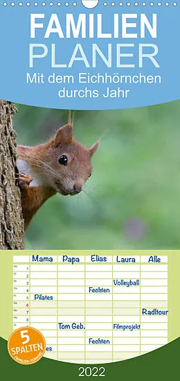 Kalender Mit dem Eichhörnchen durchs Jahr - Familienplaner hoch (Wandkalender 2022 , 21 cm x 45 cm, hoch) von Margret Brackhan