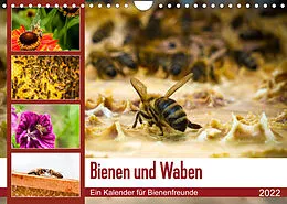 Kalender Bienen und Waben (Wandkalender 2022 DIN A4 quer) von Barbara Wilms