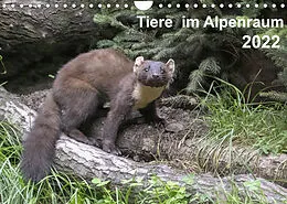 Kalender Tiere im Alpenraum (Wandkalender 2022 DIN A4 quer) von Uwe Christian Widdmann