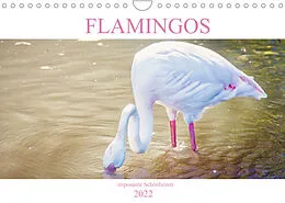Kalender Flamingos - imposante Schönheiten (Wandkalender 2022 DIN A4 quer) von Liselotte Brunner-Klaus