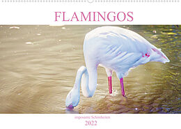 Kalender Flamingos - imposante Schönheiten (Wandkalender 2022 DIN A2 quer) von Liselotte Brunner-Klaus