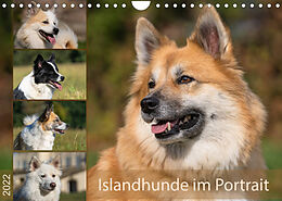 Kalender Islandhunde im Portrait (Wandkalender 2022 DIN A4 quer) von Monika Scheurer