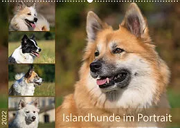 Kalender Islandhunde im Portrait (Wandkalender 2022 DIN A2 quer) von Monika Scheurer