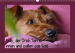 Kalender Kelly, der Irish Terrier - innen und außen aus Gold (Wandkalender 2022 DIN A3 quer) von Claudia Schimon