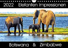 Kalender Elefanten Impressionen (Wandkalender 2022 DIN A4 quer) von Barbara Fraatz