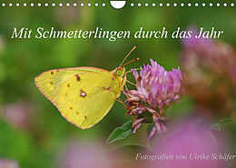 Kalender Mit Schmetterlingen durch das Jahr (Wandkalender 2022 DIN A4 quer) von Ulrike Schäfer