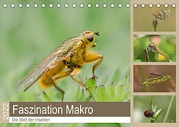 Kalender Faszination Makro - Die Welt der Insekten (Tischkalender 2022 DIN A5 quer) von Andrea Potratz