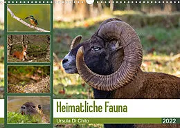 Kalender Heimatliche Fauna (Wandkalender 2022 DIN A3 quer) von Ursula Di Chito