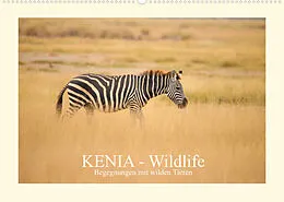 Kalender KENIA Wildlife - Begegnungen mit wilden Tieren (Wandkalender 2022 DIN A2 quer) von Andreas Demel