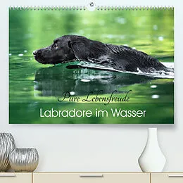 Kalender Labradore im Wasser (Premium, hochwertiger DIN A2 Wandkalender 2022, Kunstdruck in Hochglanz) von Cornelia Strunz