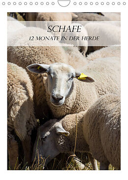 Kalender Schafe - 12 Monate in der Herde (Wandkalender 2022 DIN A4 hoch) von Stefanie und Philipp Kellmann