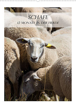 Kalender Schafe - 12 Monate in der Herde (Wandkalender 2022 DIN A2 hoch) von Stefanie und Philipp Kellmann