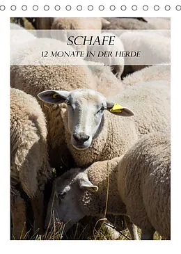 Kalender Schafe - 12 Monate in der Herde (Tischkalender 2022 DIN A5 hoch) von Stefanie und Philipp Kellmann