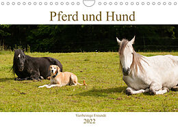 Kalender Pferd und Hund - Vierbeinige Freunde (Wandkalender 2022 DIN A4 quer) von Meike Bölts