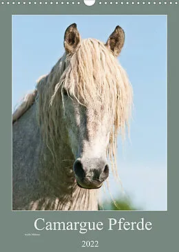 Kalender Camargue Pferde - weiße Mähnen (Wandkalender 2022 DIN A3 hoch) von Meike Bölts