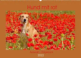 Kalender Hund mit rot - Azawakh - Ridgeback (Wandkalender 2022 DIN A2 quer) von Meike Bölts