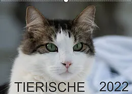 Kalender Tierische 2022 (Wandkalender 2022 DIN A2 quer) von N N