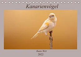 Kalender Kanarienvögel - Bunte Welt (Tischkalender 2022 DIN A5 quer) von Akrema-Photography