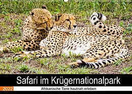 Kalender Safari im Krügernationalpark (Wandkalender 2022 DIN A2 quer) von Linde Kärcher