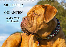 Kalender Molosser - Giganten in der Welt der Hunde (Wandkalender 2022 DIN A3 quer) von Sigrid Starick