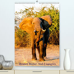 Kalender Brunos Bilder: Süd-Luangwa (Premium, hochwertiger DIN A2 Wandkalender 2022, Kunstdruck in Hochglanz) von Bruno Pohl